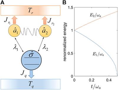 Nonequilibrium thermal transport in the two-mode qubit-resonator system
